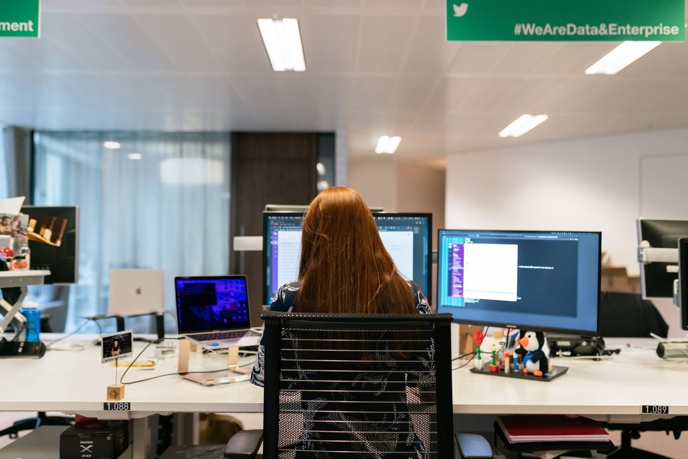Dedicated developer working at multi-monitor desk