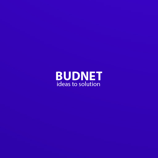 (c) Budnetdesign.com